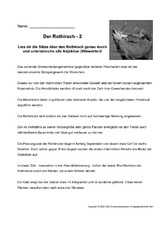 Rothirsch-Adjektive-bestimmen-2.pdf